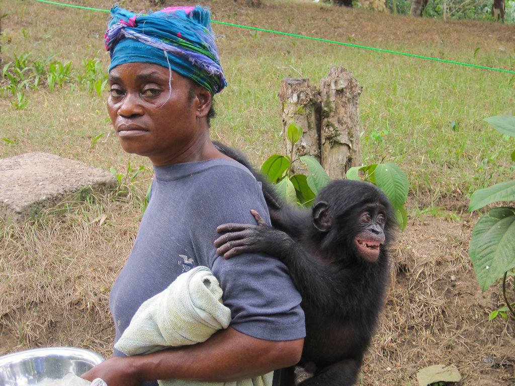 "Mother" at Lola Ya Bonobo